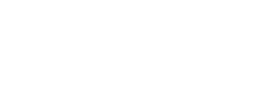 LSYB Logo